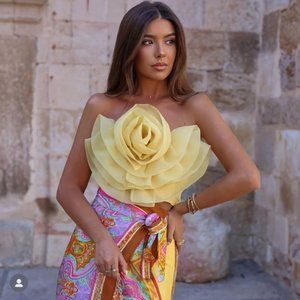 ZARA Floral Organza Top